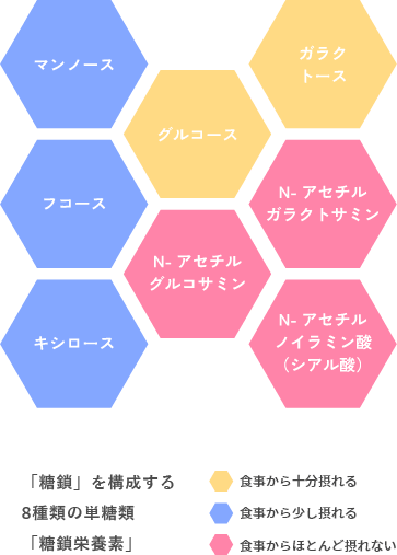 「糖鎖」を構成する８種類の単糖類「糖鎖栄養素」