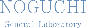 NOGUCHI General Laboratory