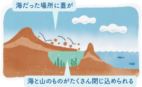 海だった場所に蓋が　海と山のものがたくさん閉じ込められる