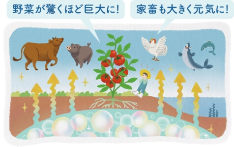 野菜が驚くほど巨大に！家畜も大きく元気に！
