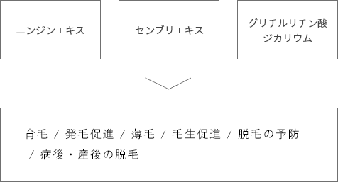 3種の育毛剤有効成分イメージ